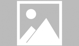 911吃瓜爆料无罪小僵尸,无罪小僵尸的奇幻冒险之旅